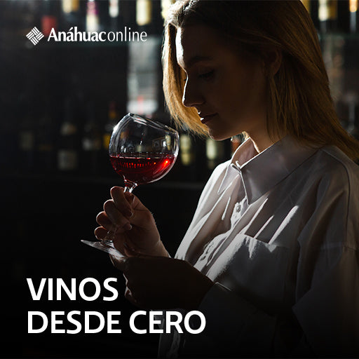 Microcurso Vinos desde cero