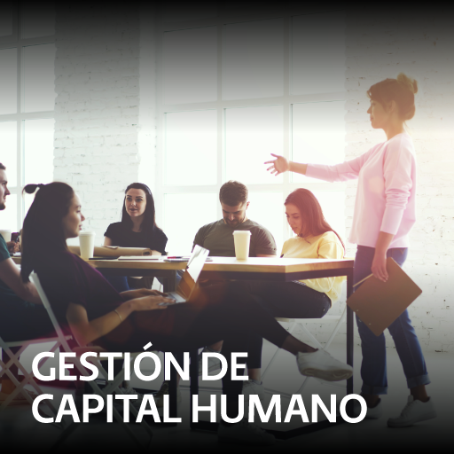 Gestión de capital humano
