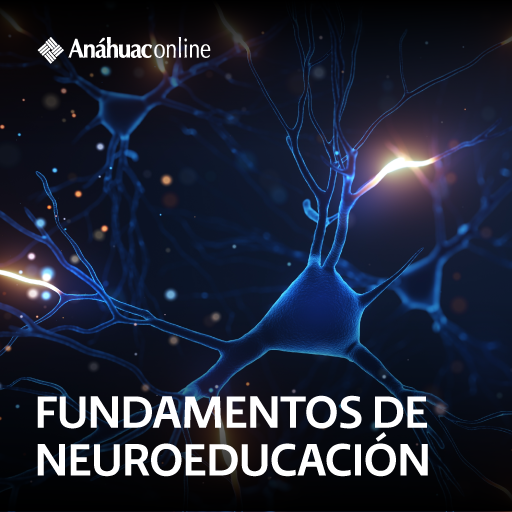 Fundamentos de Neuroeducación