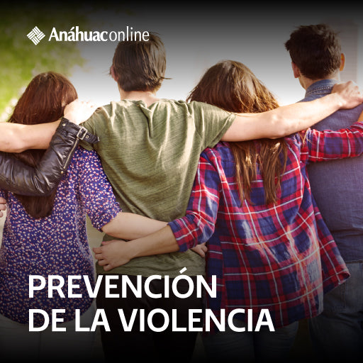Prevención de la violencia: El fenómeno de la violencia