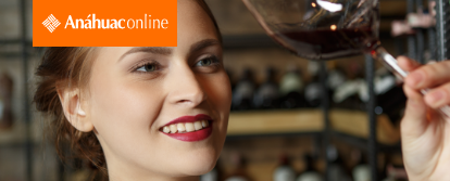 Microcurso Vinos desde cero
