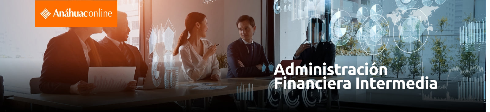 Curso de Administración Financiera Intermedia