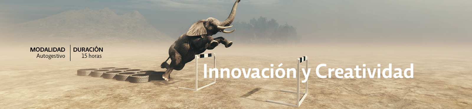 Curso de Innovación y Creatividad