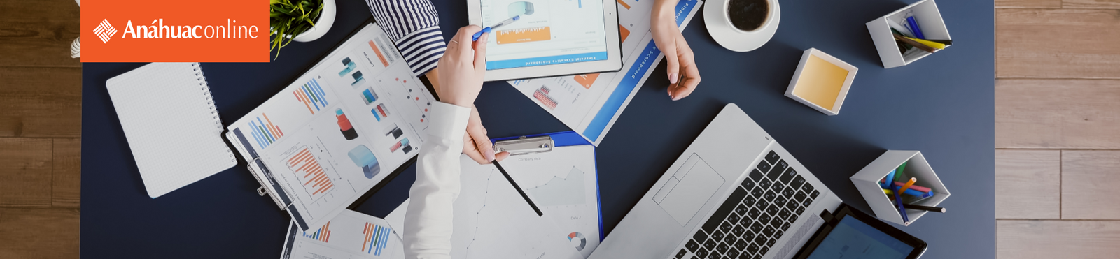 Curso de Administración Financiera Básica