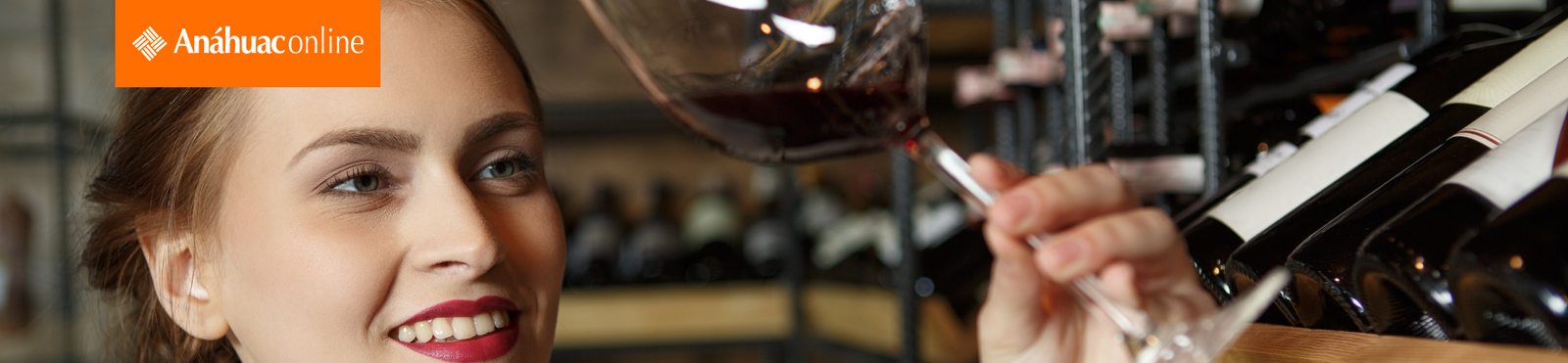Microcurso Vinos desde cero