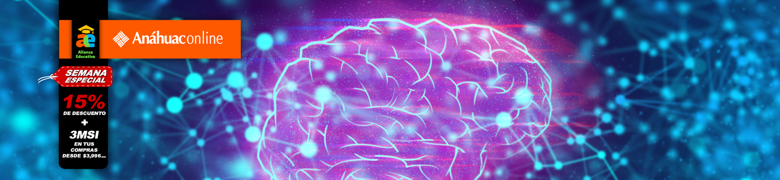 Fundamentos de Neuroeducación