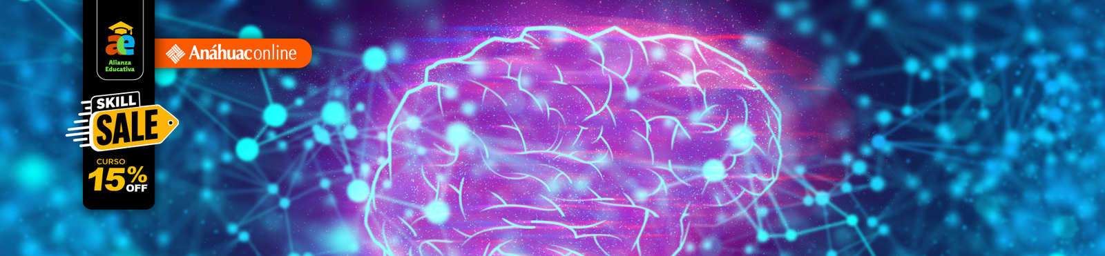 Fundamentos de Neuroeducación