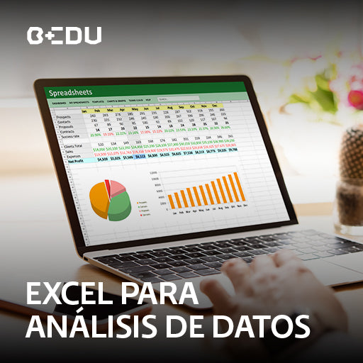 Curso de Excel para análisis de datos