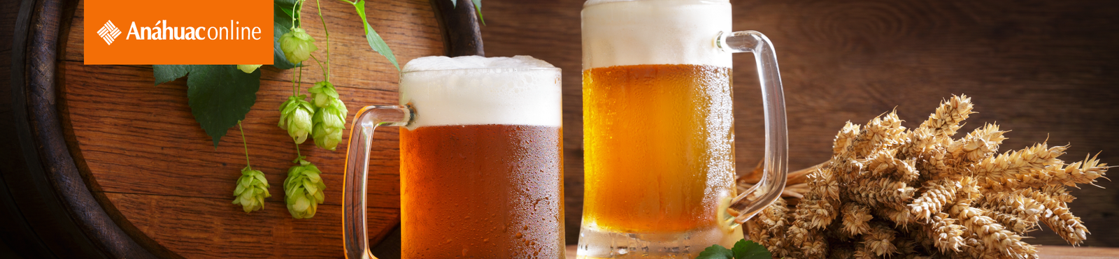 Cerveza para todos