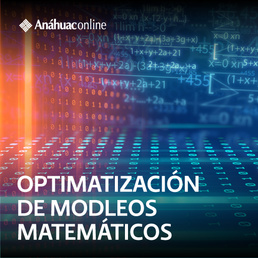 Optimización de modelos matemáticos