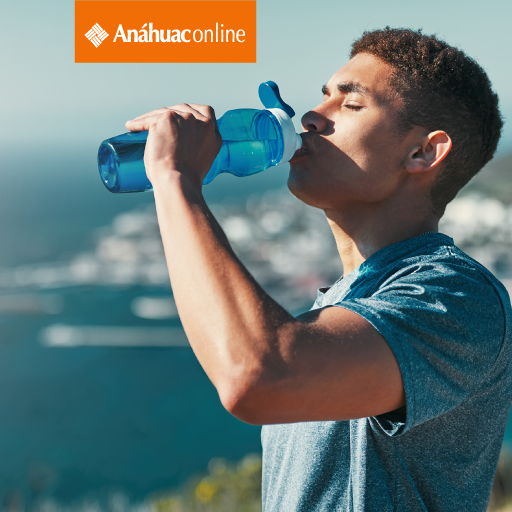 Nutrición, hidratación y actividad física