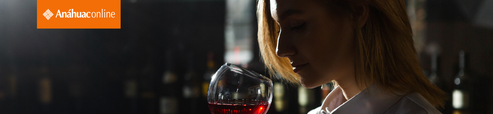 Microcurso Vinos desde cero