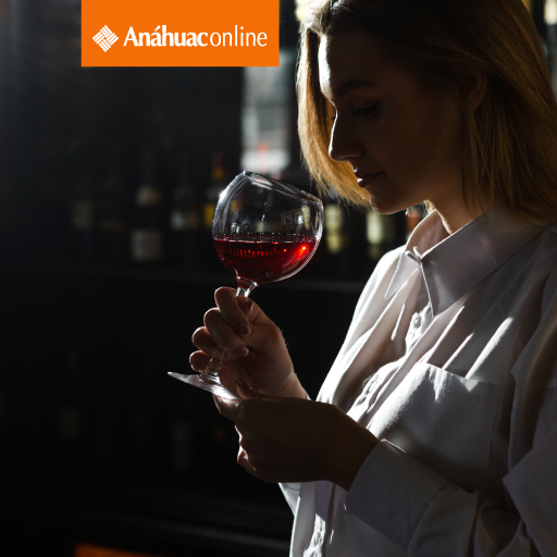 Microcurso Vinos desde cero